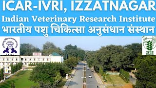 IVRI, IZATNAGAR | INDIAN VETERINARY RESEARCH INSTITUTE | भारतीय पशु चिकित्सा अनुसंधान संस्थान | Vets