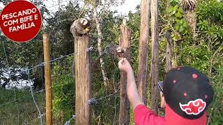 Pescaria de tainha e paratys , eles roubaram a cena