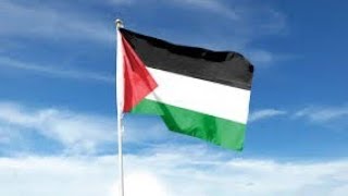 Palestinian flag in Clapham Junction apartment complex