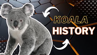 Untold Story of Koalas