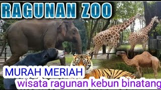 Ragunan zoo,Kebun Binatang Taman Margasatwa ~fasya and family