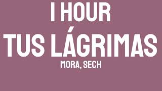 Mora, Sech - TUS LÁGRIMAS (1 HOUR) "pero dime tu si quieres que esto avance cámbiame la luz"