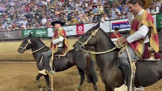 CRIADERO DOÑA DOMINGA CAMPEONES DE CHILE 2024