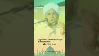 റബീഉൽ അവ്വൽ 06 | ഉസ്താദ് മുഹമ്മദ് അഹ്സനി കോഡൂർ ✨✨✨✨#islamicstatus #islamicvideo #islamicshorts