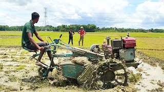 Power tiller ploughing paddy mud land // Power tiller videos