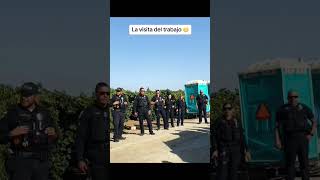 Policías Regalan desayuno a trabajadores del Campo en California 👮‍♀️👮‍♂️🌿‼️ #police #campo #parati