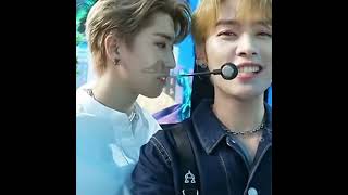 Han Jisung in love with Lee Know || Minsung part 3