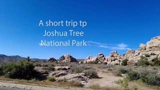 A short travel video to Joshua Tree National Park