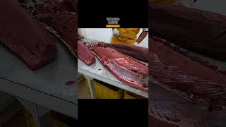 AMAZING SKILLS giant tuna fish cutting from Aceh Indonesia