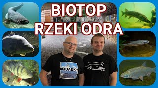 BIOTOP ODRY | Odrarium w ZOO Wrocław