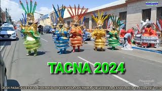 TACNA PERÚ 2024 GRAN PASACALLE DE LA HERMANDAD RELIGIOSA SANTISIMA VIRGEN DE LA CANDELARIA