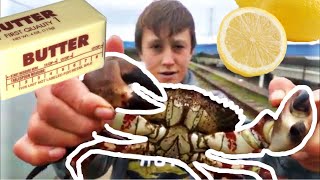 ROCK CRAB: Catch, Clean, + COOK (w/ BUTTER)