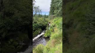 #asmr #mothernature #Wales #uk #theunitedkingdom