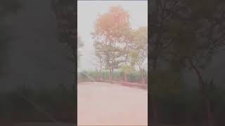 Storm||2021 Storm||Storm Heavy||#shorts#shorts||#shorts/Small videos/small videos