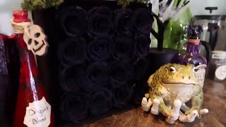 Halloween Decoration 🎃 Rose Forever Black Preserved Roses