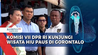 Kunjungi Wisata Hiu Paus di Gorontalo, Komisi VII DPR RI Serap Aspirasi Warga