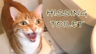 My toilet is hissing!😾Toilet fill valve replacement