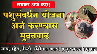 पशुसंवर्धन विविध योजनांसाठी मुदतवाढ | pashusavrdhan yojana maharashtra | कुक्कुटपालन शेळी वाटप योजना