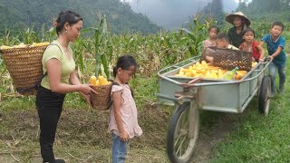 Harvested corn for an old woman and used the money to buy clothes - Single mother build a new life