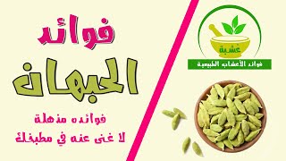 الحبهان | فوائده المذهلة للصحة العامة والنفسية