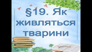 §19📚 АВДІОПІДРУЧНИК. Пізнаємо природу. 6 кл. Д.Біда. Як живляться тварини