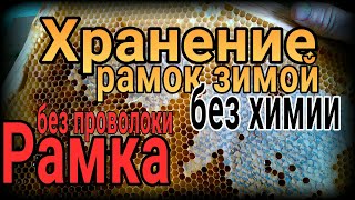 🍯🐝Как хранить рамки и уберечь от моли. Рамки Дадан без проволки