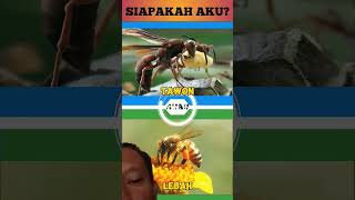 tebakan yuk part 4 #hewan #mengenali #animals #faktaunik #shorts #feedshorts #edukasi