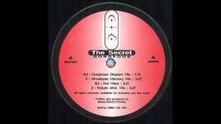 The Secret - Gorgeous (Orgasm Mix)