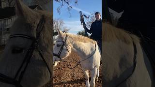 Large Crossbows on Horseback ​⁠