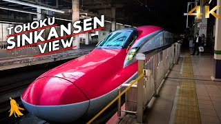 東北新幹線車窓 | Tohoku Sinkansen View- 2024/08[4K]