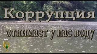 Социальная реклама природоохранная прокуратура