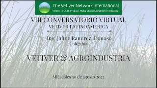 𝐂𝐎𝐍𝐕𝐄𝐑𝐒𝐀𝐓𝐎𝐑𝐈𝐎 𝐕𝐈𝐑𝐓𝐔𝐀𝐋 𝐕𝐄𝐓𝐈𝐕𝐄𝐑 #8 August 2023 Vetiver in Colombian Agroindustry