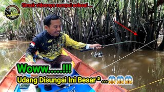 MENGGILA TARIKANNYA 😱😱 || SPOT RAHASIA DIHUNI BANYAK UDANG BESAR