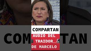 FILTRAN AUDIO DE MARCELO SE UNE A XÓCHITL GÁLVEZ