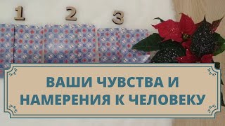 Что я чувствую к ней/к нему? Какие мои истинные намерения? Таро для мужчин и женщин