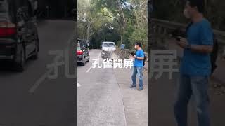 Peacock Cross the RoaD 孔雀過馬路