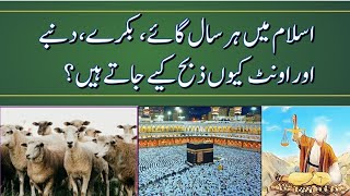 Must Watch This Video Before Celebrating Eid ul Azha 2023