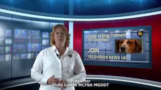 GODT - A career with  VICKY LAWES  Dog Instructor GODT TV