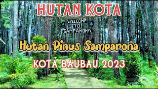 Wisata Alam cocok untuk Camping/Kemah di Kota BauBau #Hutanpinussamparonabaubau #HutankotaBaubau