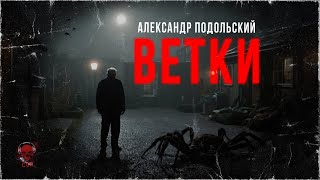 ВЕТКИ. Страшные истории на ночь. Колумбарий | ССК