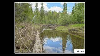 онлайн выставка НП Койгородский