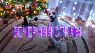 ВЕЧЕРНИЙ СТРИМ/КРЫСЫ, СОБАКИ