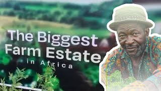 Unveiling Prymepoint Farm Land: The Jewel of Ogun State Agriculture