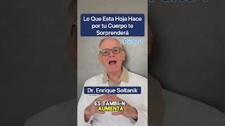 1) DOCTOR EXPLICA: Hoja Sorprendente Para Tu Salud #shorts #viral #salud #youtubeshorts