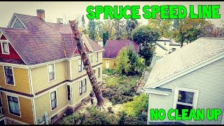 Spruce Speed Line (no clean up)