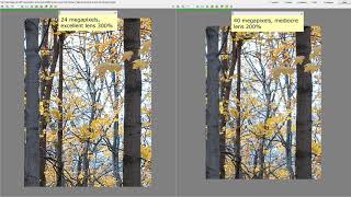 Megapixels vs. Lens Quality // Chimping // TTL