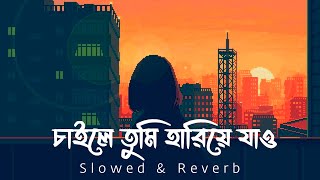 Cailey Tumi Hariye Jao | চাইলে তুমি হারিয়ে যাও | Rajahin Rajjo | Slowed & Reverb | Sr Lofi Vibes