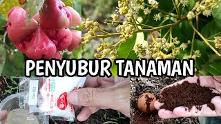 Pupuk penyubur tanaman dan buah?