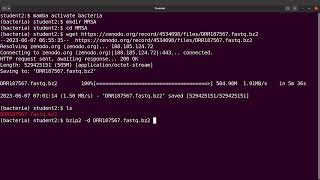 How to Decompress bz2 files in linux   episode 1