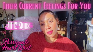 ✨💖 Their Current Feelings For You ✧ All 12 Signs - Time Stamped 💖✨